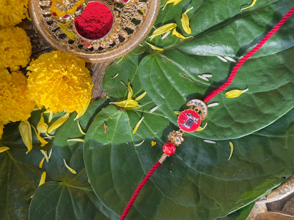 PICHWAI DIVINE COW RAKHI