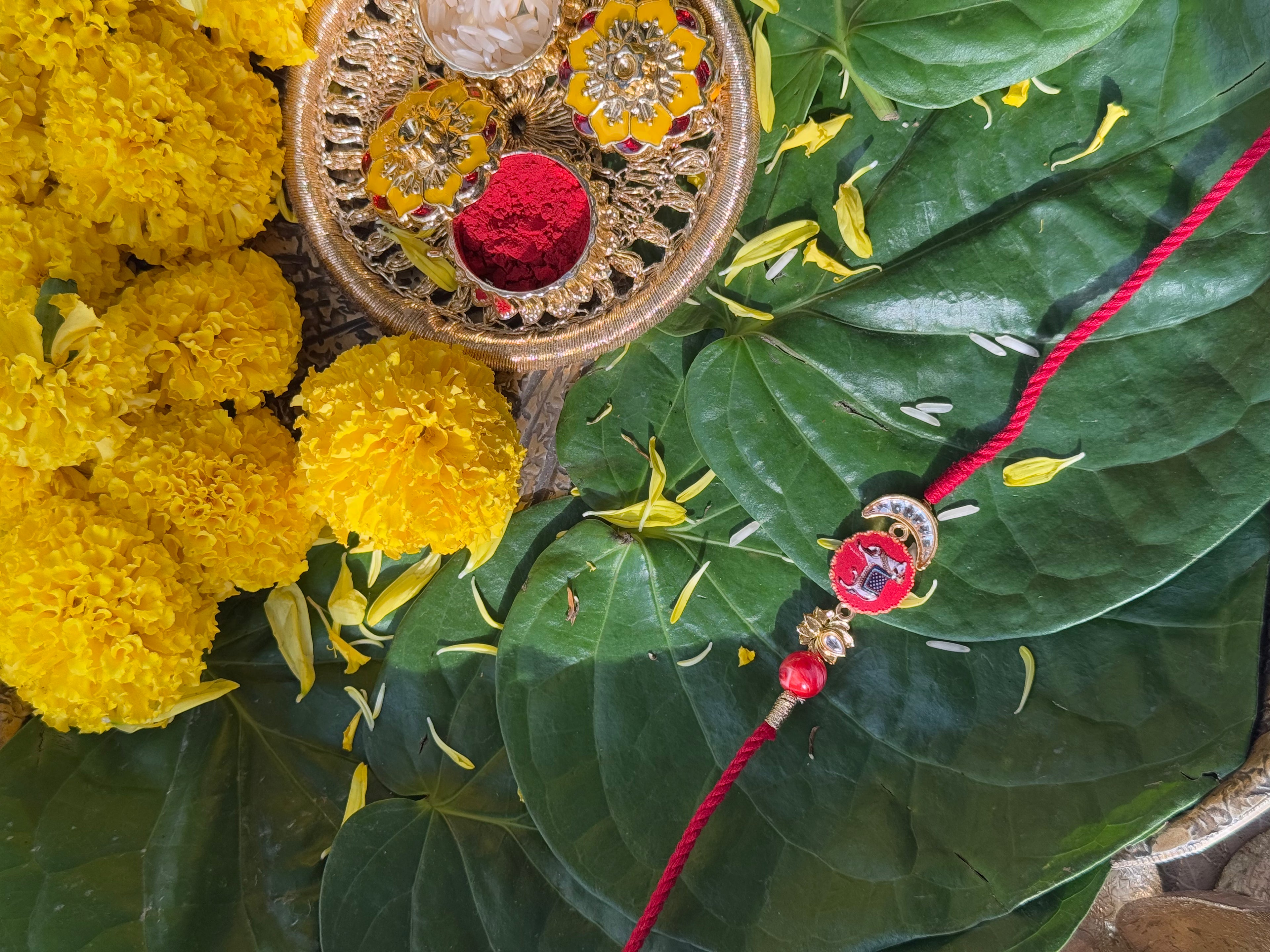 PICHWAI DIVINE COW RAKHI