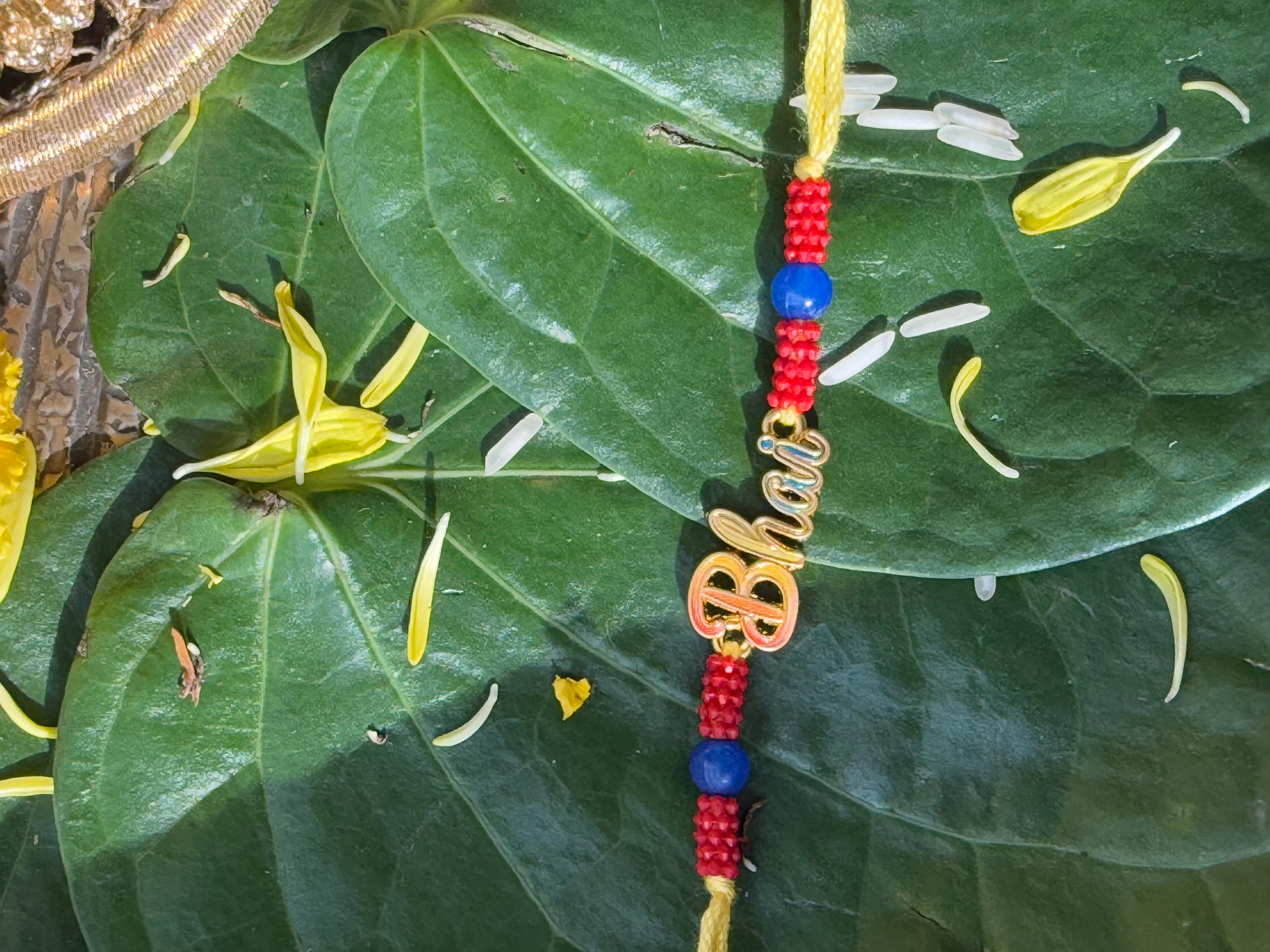 TRENDING BHAI RAKHI