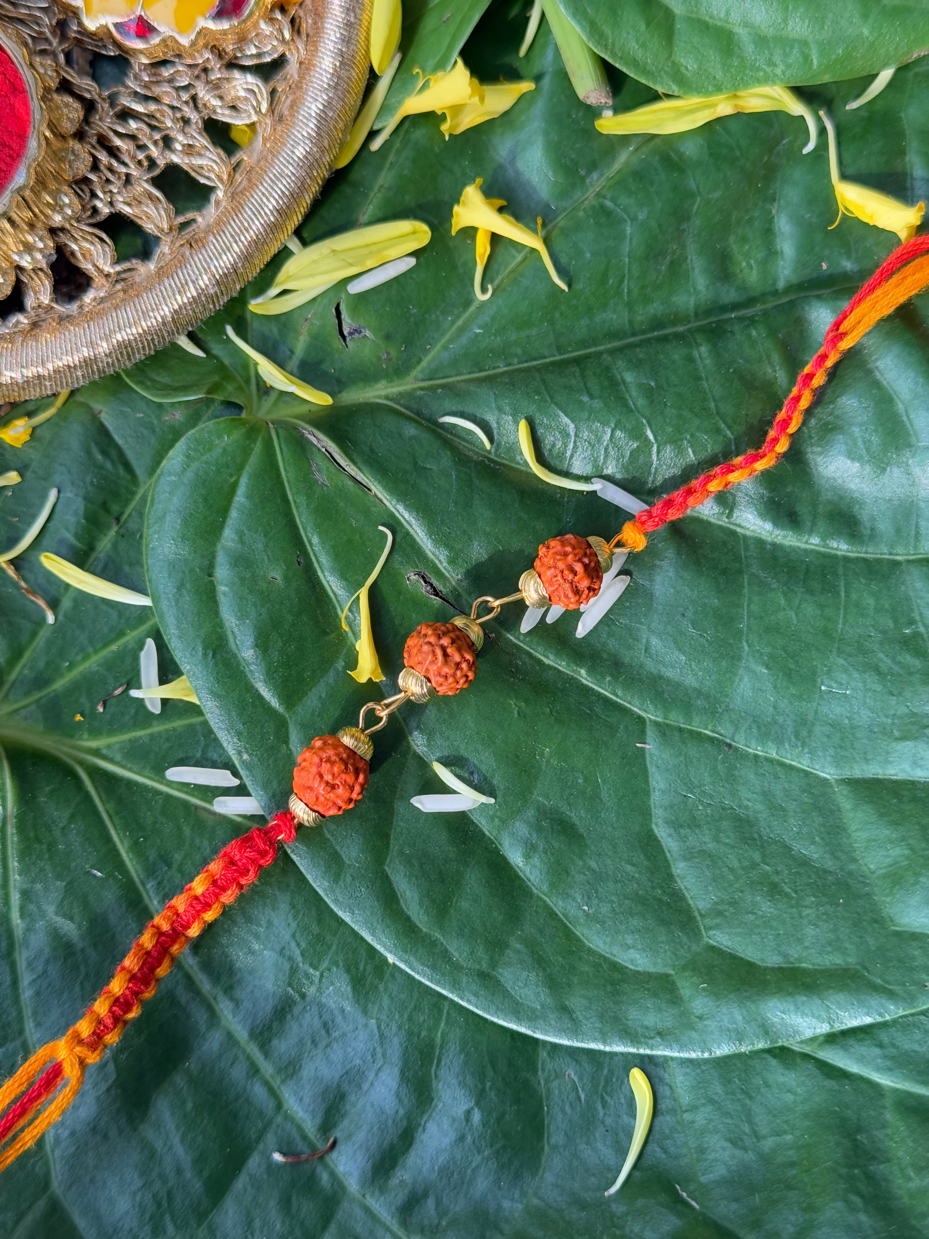 3 RUDRAKSHA RAKHI