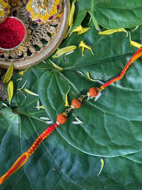 3 RUDRAKSHA RAKHI
