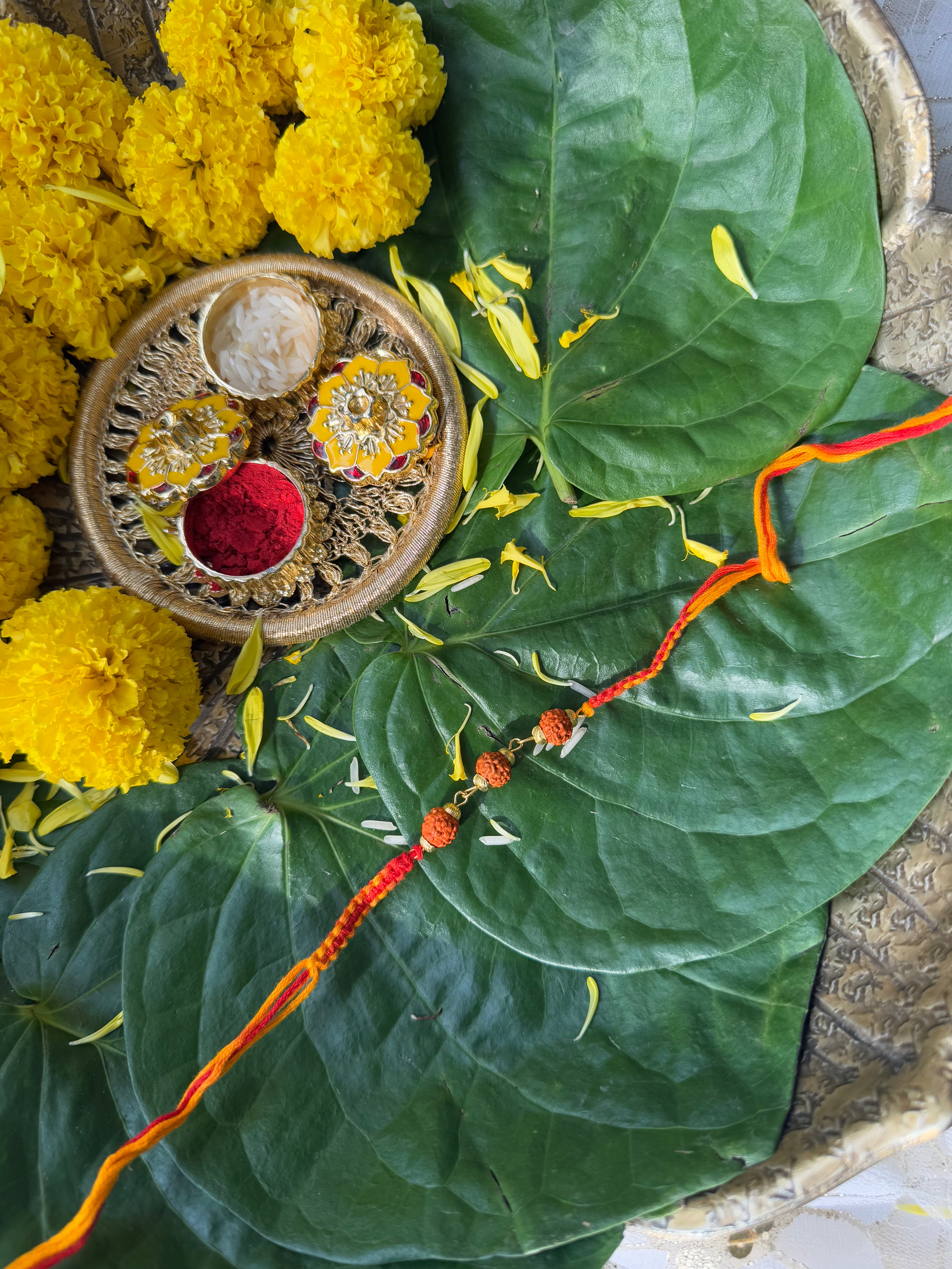 3 RUDRAKSHA RAKHI